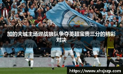 加的夫城主场迎战狼队争夺英超宝贵三分的精彩对决