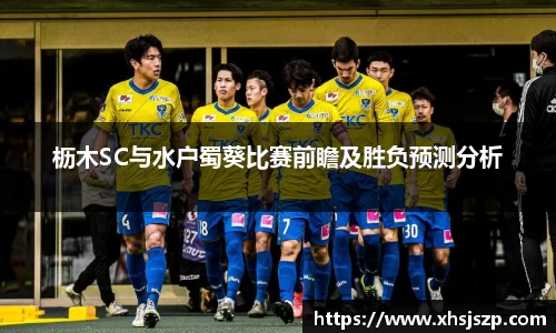 枥木SC与水户蜀葵比赛前瞻及胜负预测分析